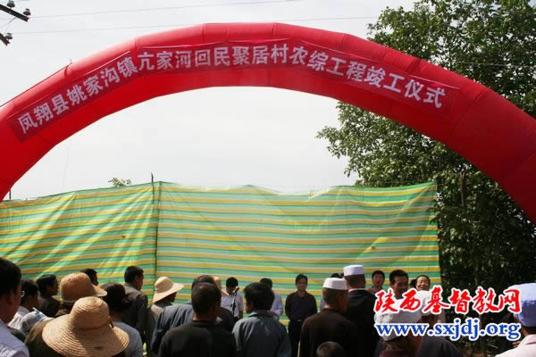 爱德基金会援建宝鸡凤翔县的农综项目竣工(图2)
