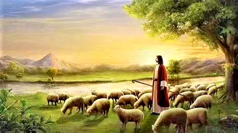 圣周默想（四） | 我是好牧人