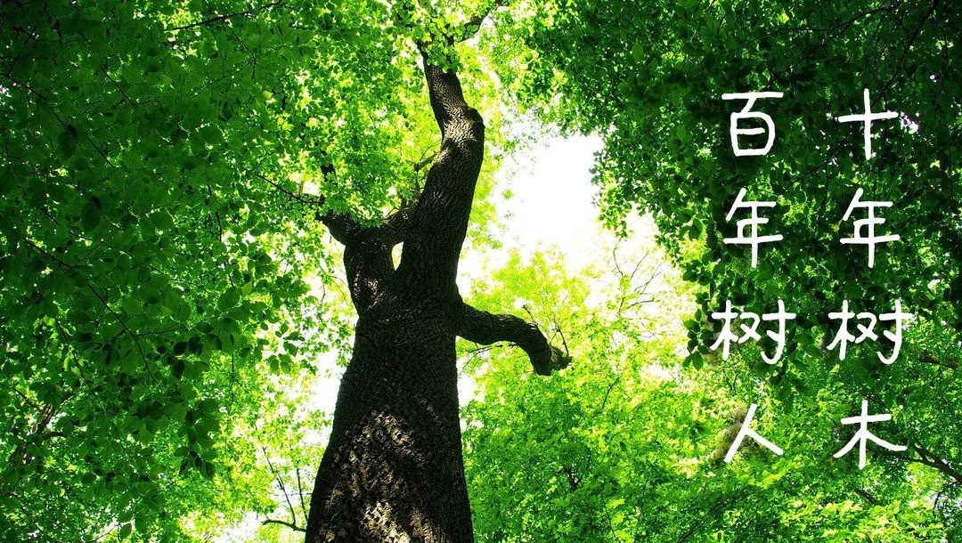 作为“成”人教育的中国化神学教育