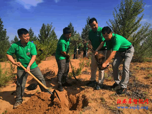 凝聚青年力量 承担社会责任———“常青林”义工志愿者沙漠植树服务成长营成功举办(图2)