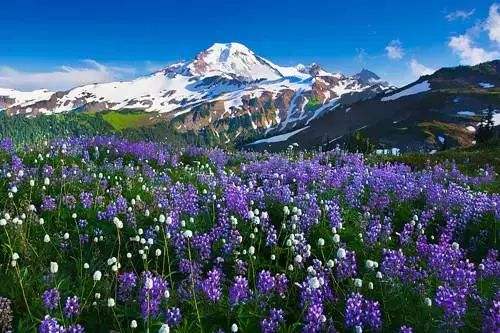 感悟上帝的恩典