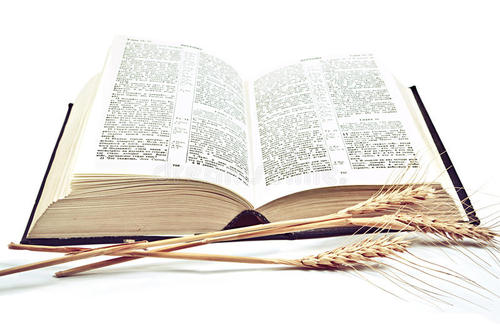 《福音书》和合本与吕振中译本对照(图1)