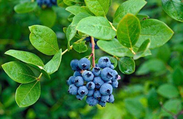 弃绝罪恶,持守纯洁(图2)